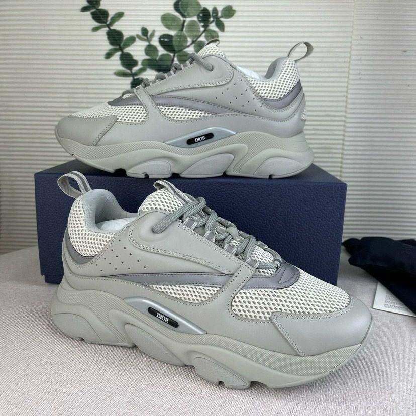 Dior B22 Gris