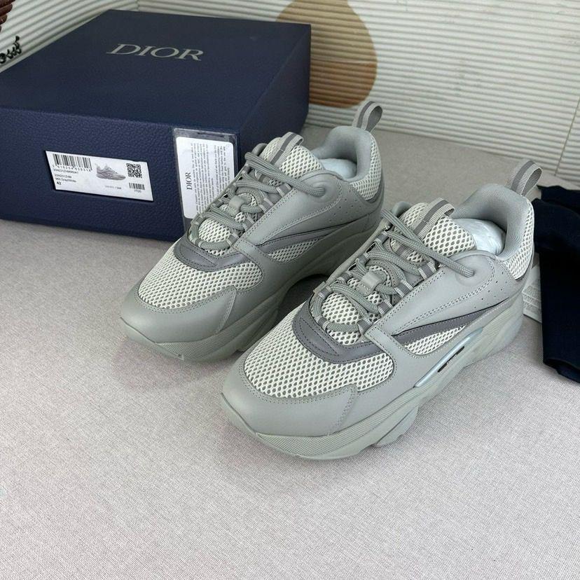 Dior B22 Gris