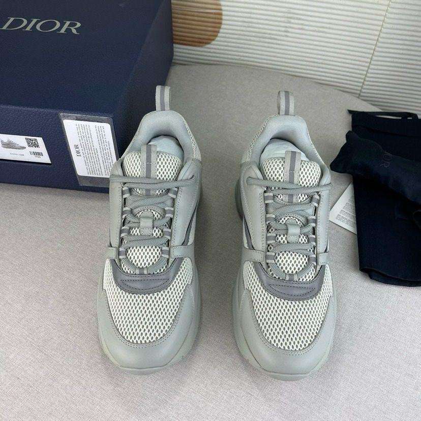 Dior B22 Gris