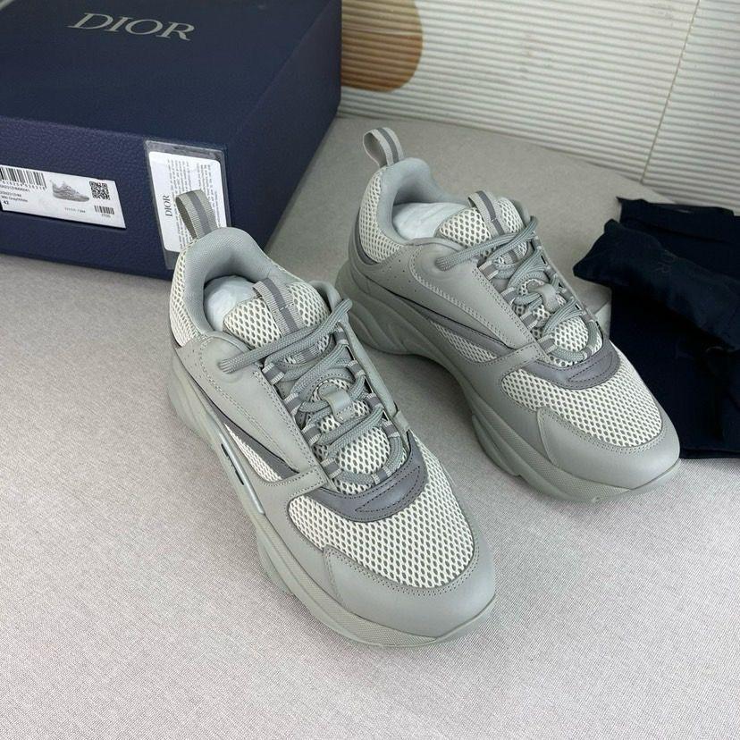 Dior B22 Gris