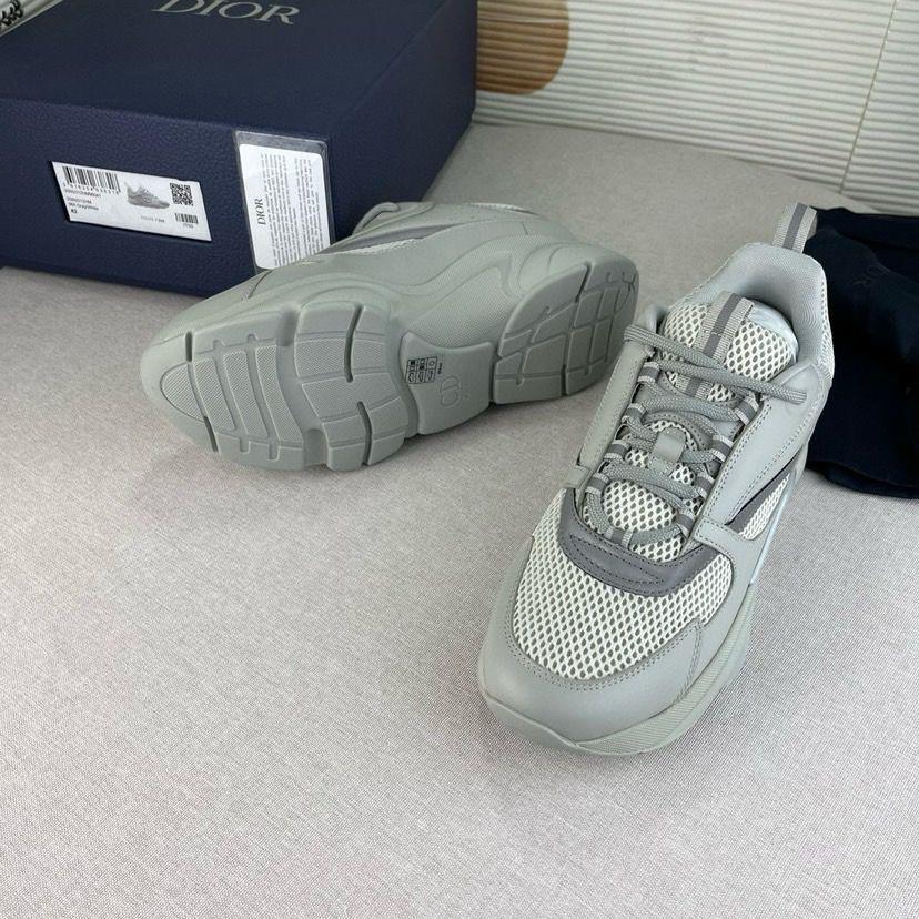 Dior B22 Gris