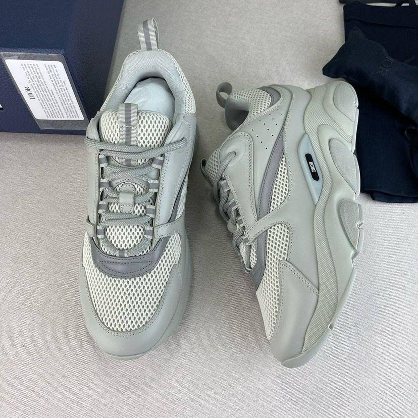 Dior B22 Gris