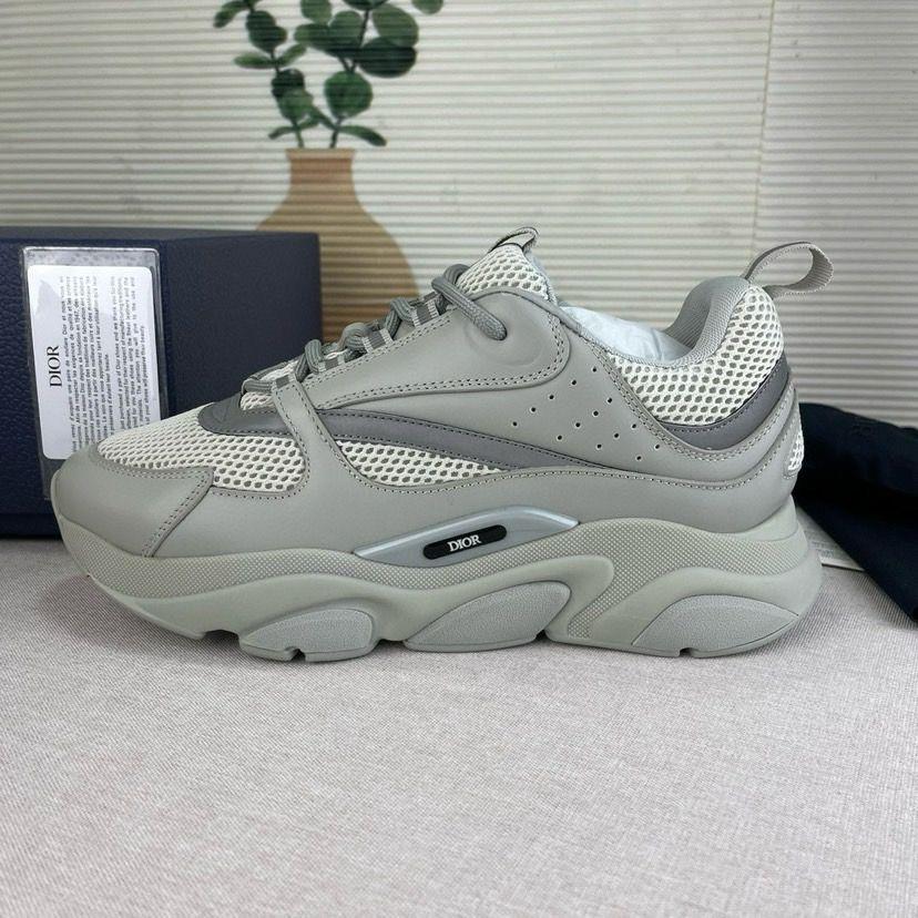Dior B22 Gris